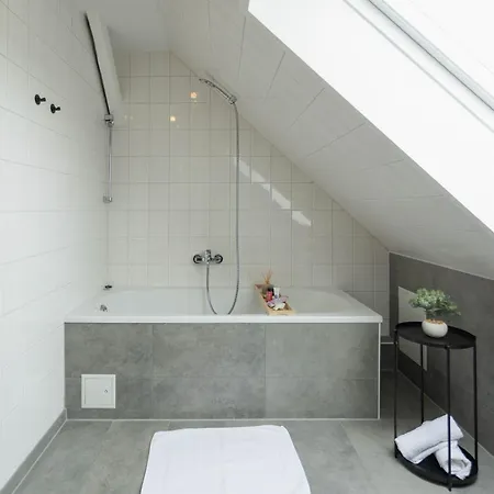 Daire Cityloft Fuer Stilvolle Dessau-Rosslau