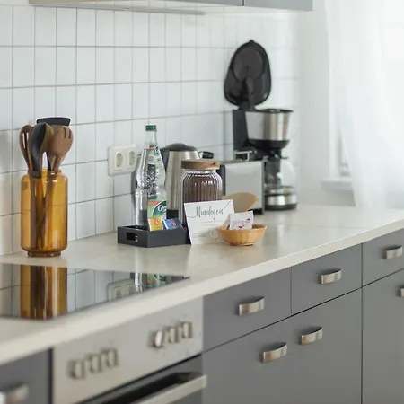 Daire Cityloft Fuer Stilvolle Dessau-Rosslau